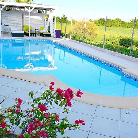 Villa Amethyste Avec Grande Piscine Privee, Jardin Clos, Parking Prive Ле-Роберт Екстер'єр фото
